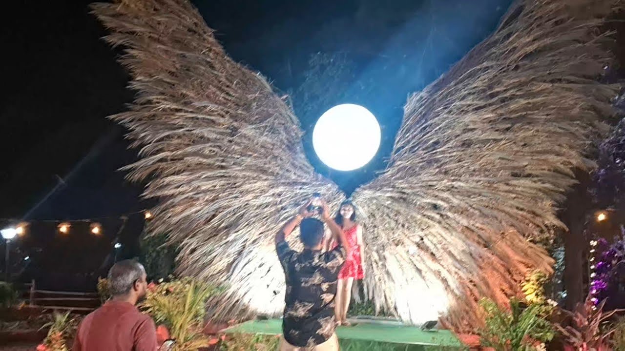 Goa Forest Diversity Festival 2026