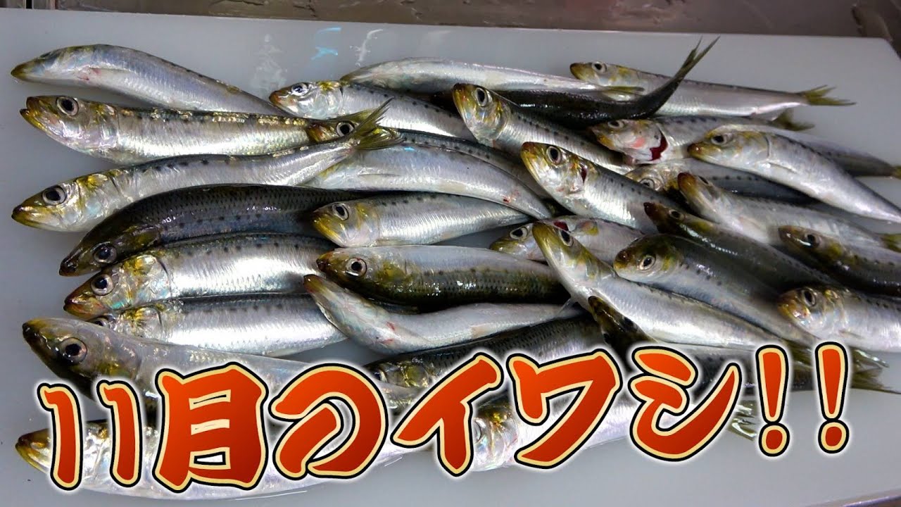 【じいちゃんも絶賛】“刺身・味噌汁・トンテキ”で最強の和食セットが美味すぎた