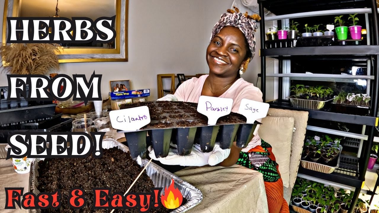 Start Herb Seeds Indoors FAST 🌿 | Grow Parsley, Cilantro, Sage & More from Seed!