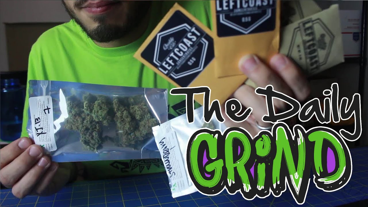Daily Grind - Dispensary Run