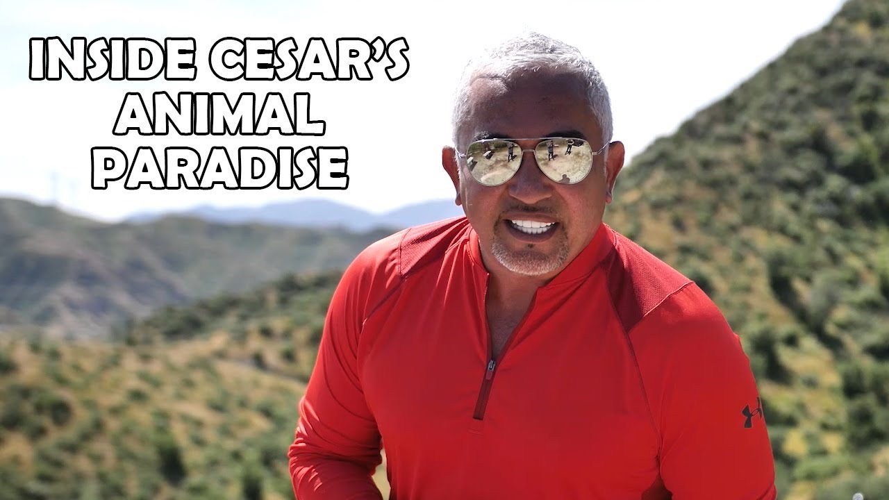 What Cesar Millan's Ranch Is Really Like
