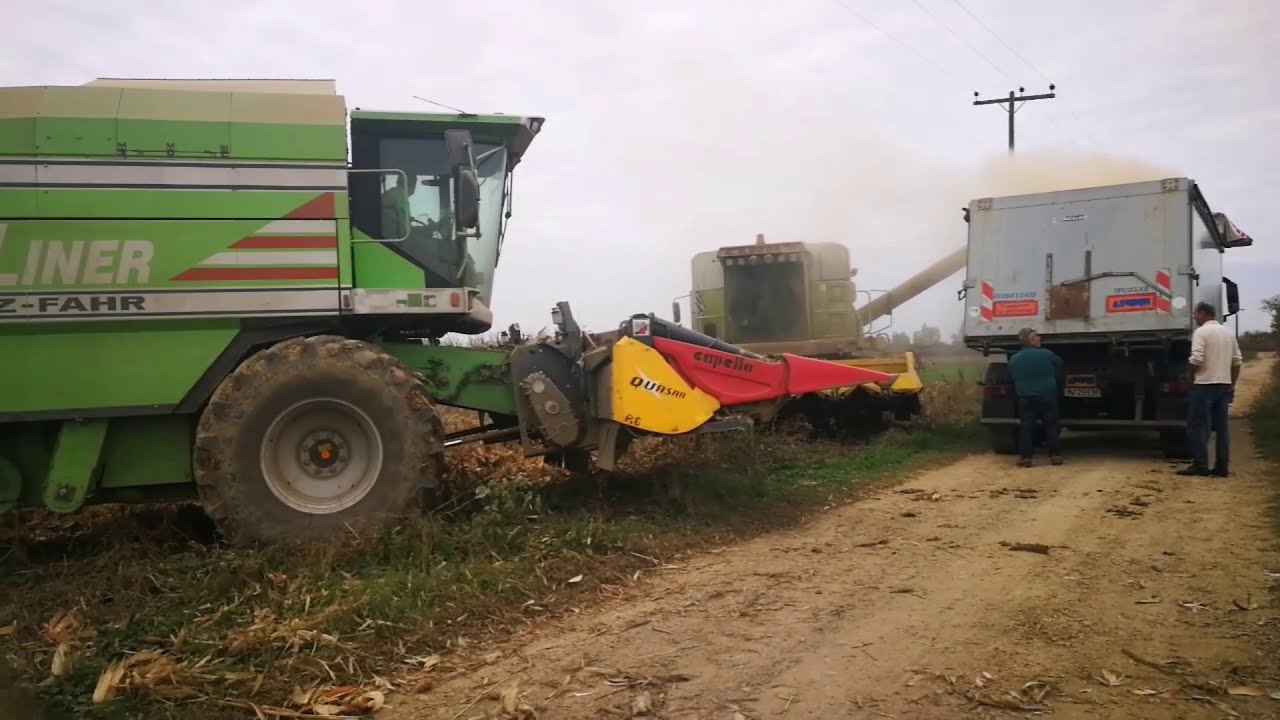 Deutz-Fahr 4075 HTS-Claas 228 cs  commandor..''penelope & duck corn harvest