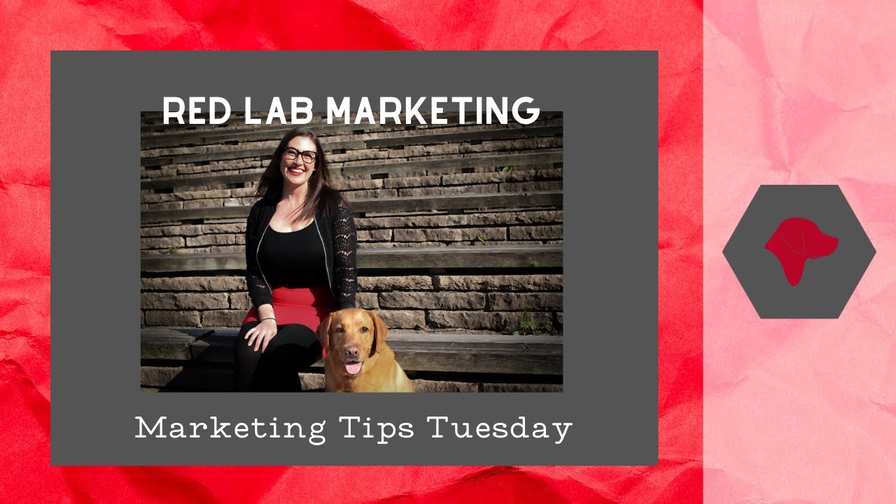 Marketing Tips Tuesday 5/19/20: Creative Talent & Managing Influencers