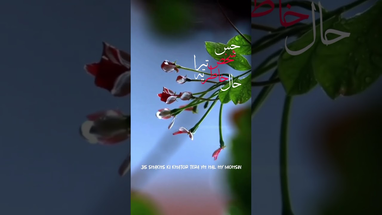 پانا بھی نہیں ہے اسے کھونا بھی نہیں ہے 