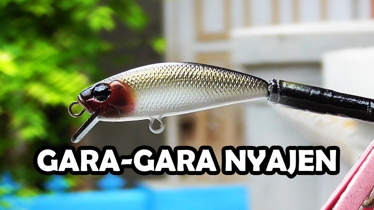 GARA-GARA NYAJEN LURE MINNOW MAHAL
