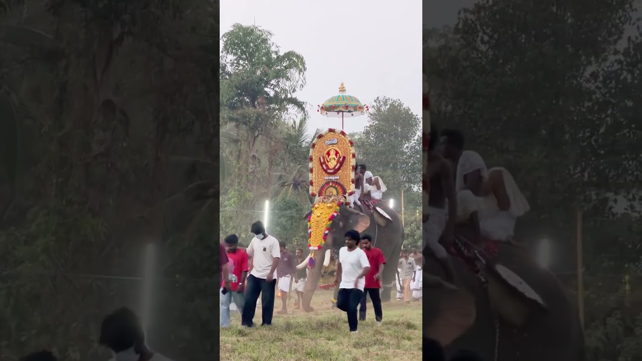 കല്ലടത്തൂർ പൂരം #elephant #uthsavam #pooram #aanakotta #youtube #viral #festival #shorts
