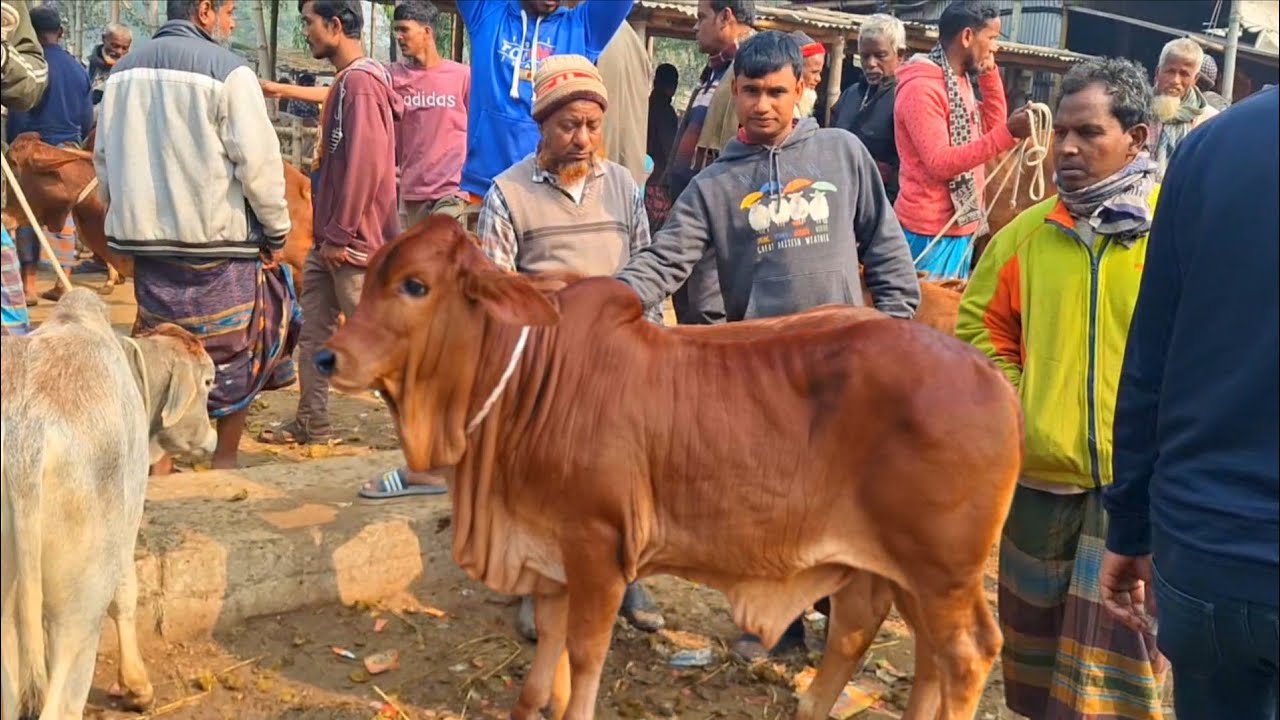 @আজ ২৩ জানুয়ারি