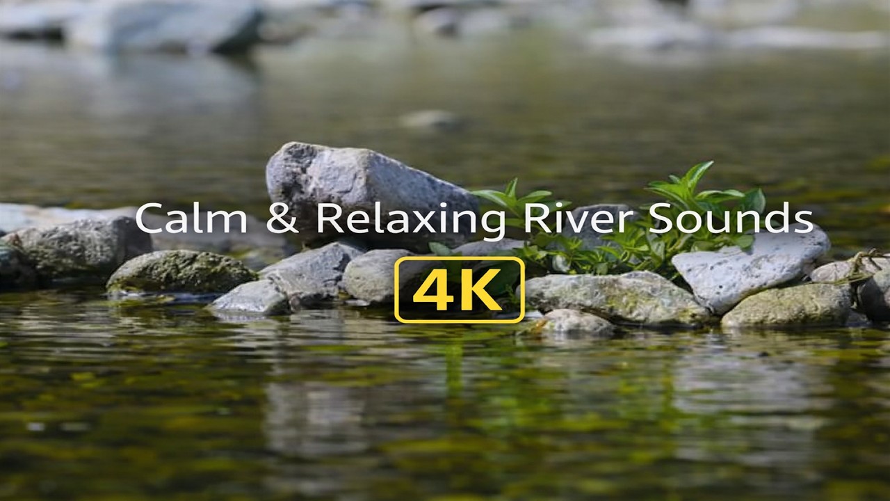 Calm & Relaxing River Sound | #shorts #river #sleep #study