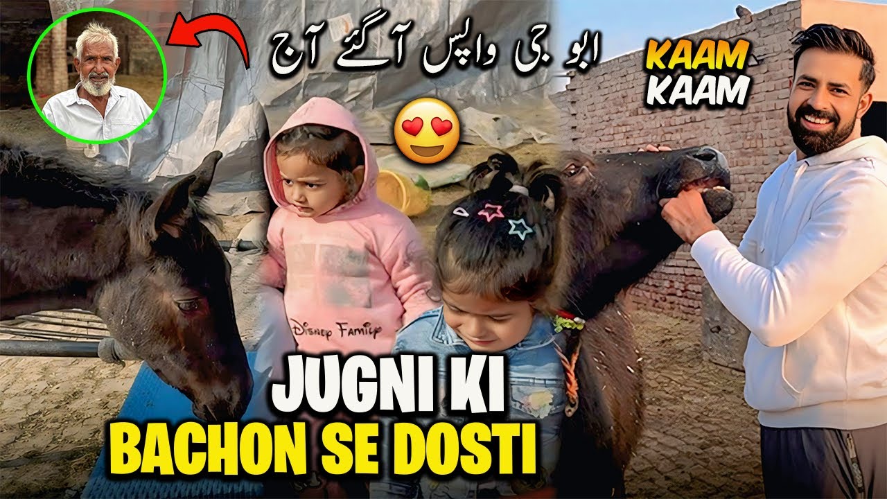 Jugni Ny Bachon Se Dosti Kar Li 😍 Aj Ki Routine || ابو جی آج گھر واپس آگئے
