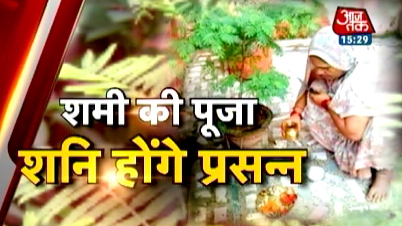 Dharm: Pooja of 'Shami' tree