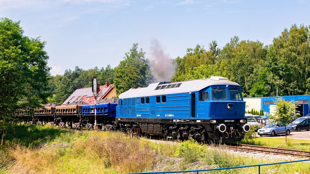 Nowy nabytek Omniloko - Ludmiła BR231-081