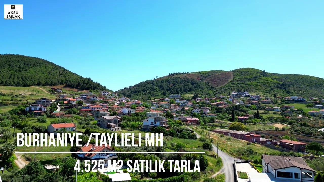 Burhaniye Taylıeli Köyünde 4525 m2,İmara Bitişik Satılık Tarla