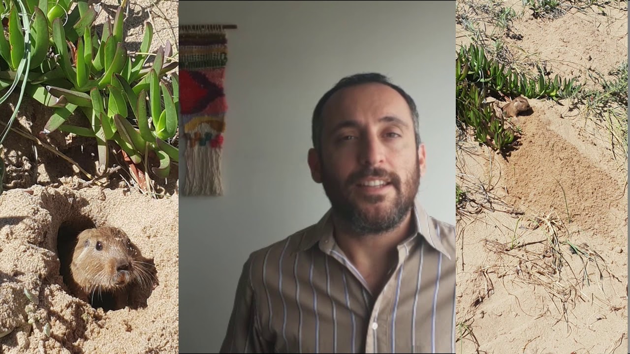 Ctenomys pearsoni | Ivanna Tomasco y Diego Caraballo