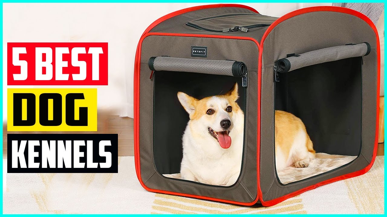 The 5 Best Dog Kennels of 2021