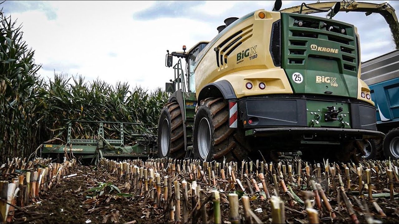 😍Ensilage de maïs XXL KRONE BIG X 1180 😱