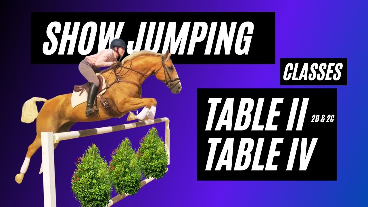 Show Jumper Classes Explained: 3 Types of Show Jumper Classes