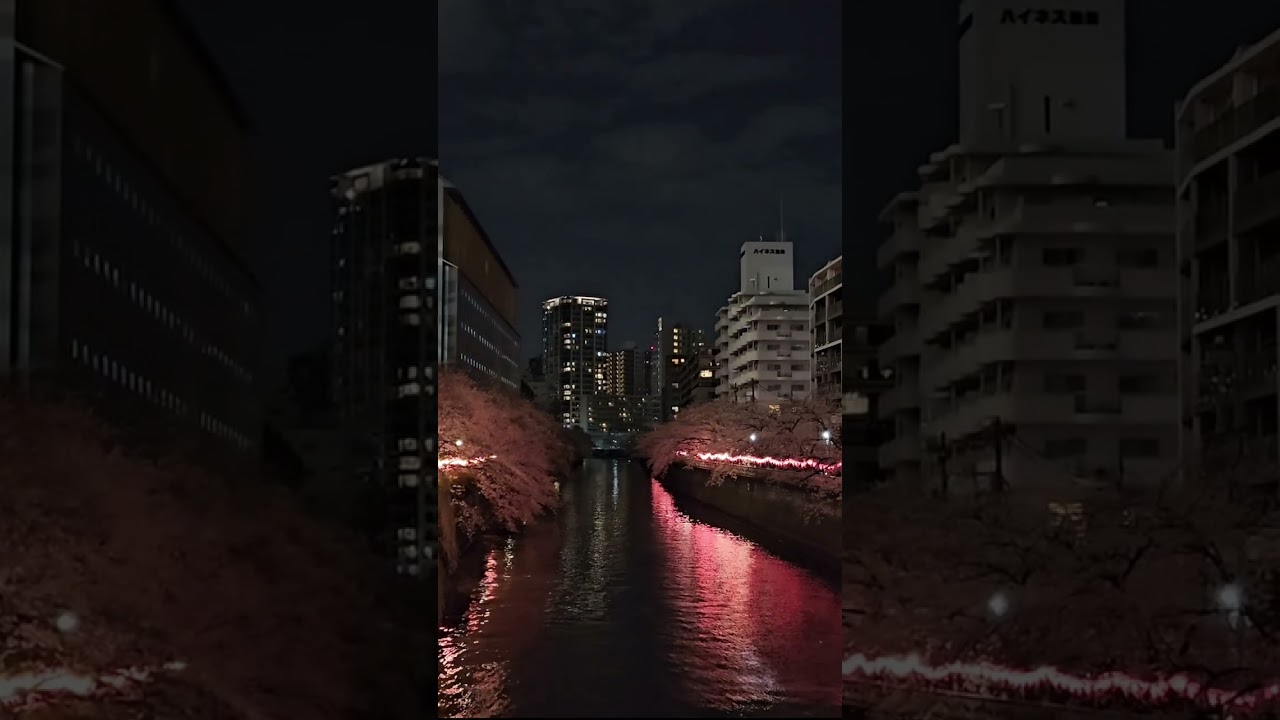 Night walk in #Tokyo along the Meguro River