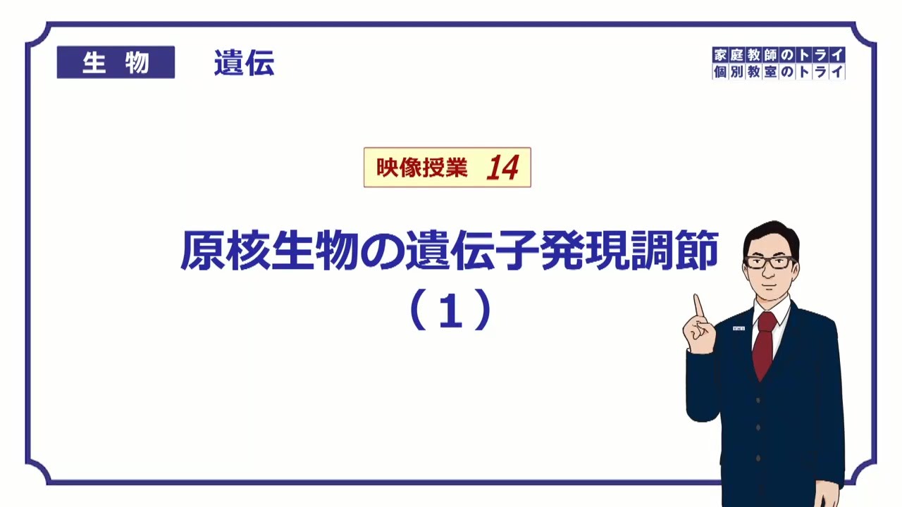 【高校生物】　遺伝14　原核生物の遺伝子発現調節（１）（１４分）