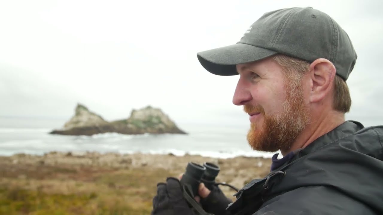 Point Blue on the Farallon National Wildlife Refuge (Full Version)