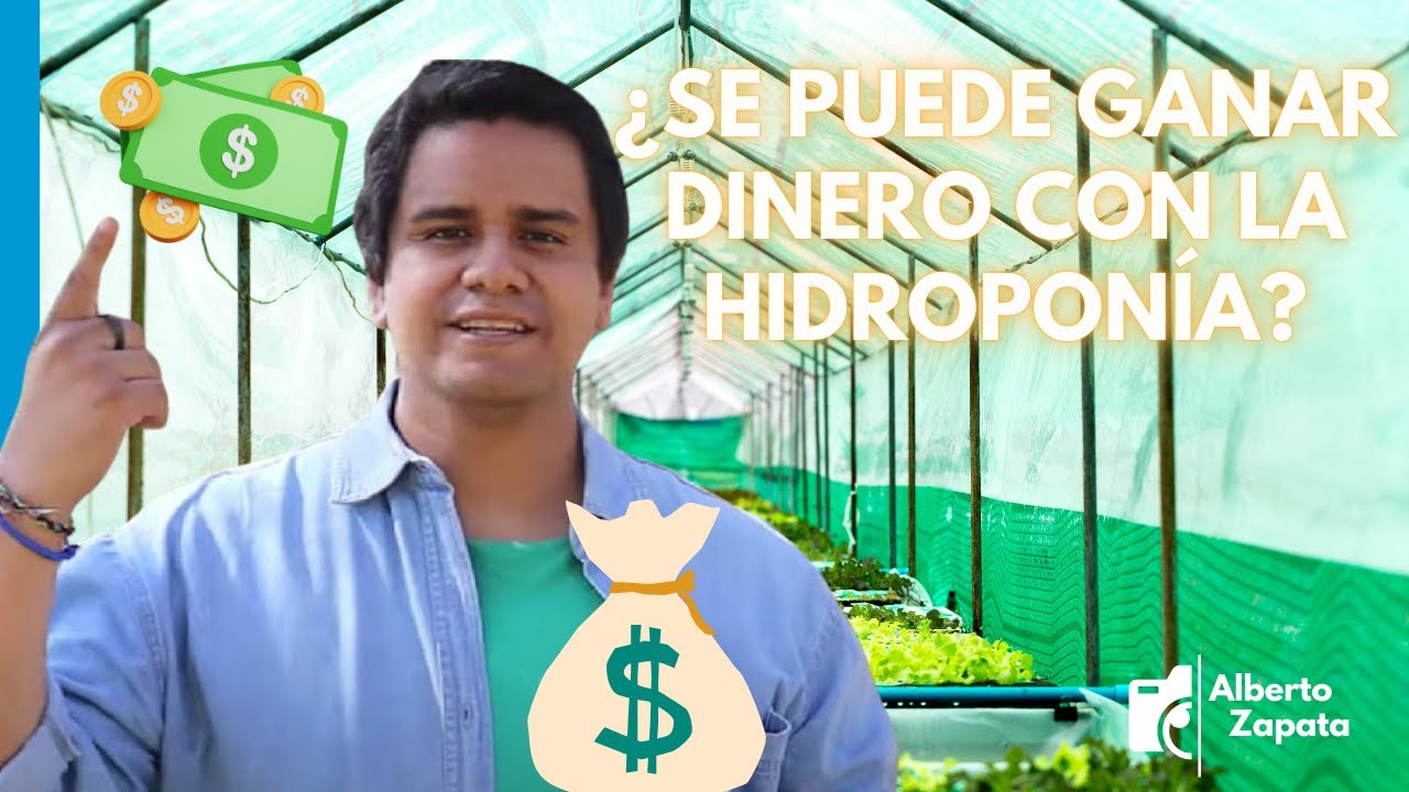 💸Como Vender LECHUGA HIDROPONICA | TODO lo que NECESITAS Saber 💡😁