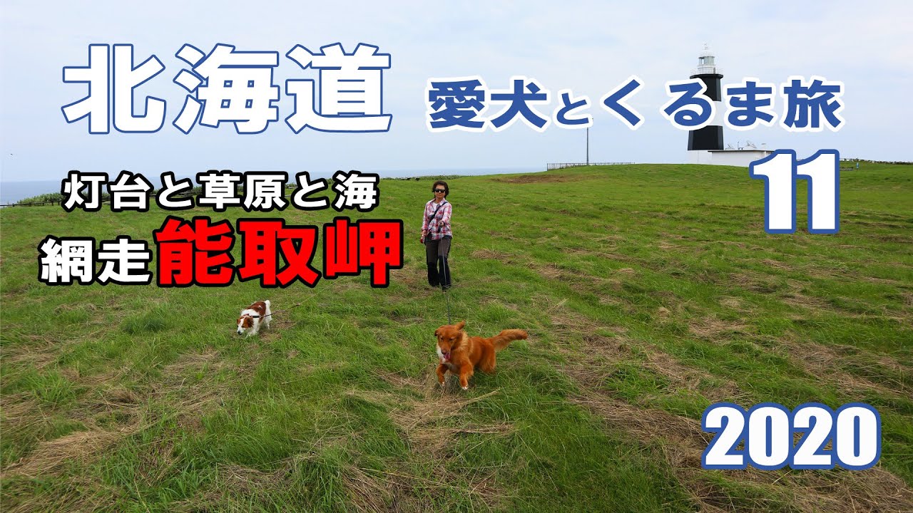 【断崖絶壁の絶景】オホーツク海と網走能取岬灯台と草原とタラバ蟹らーめんを堪能♪北海道中年夫婦と愛犬とキャンピングカーの旅 2020 EP11 【北海道車中泊の旅】【車中泊】