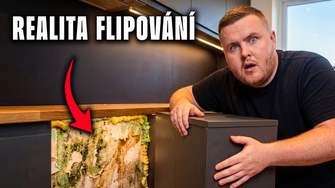 Jak poznat byty na FLIP? 🔄