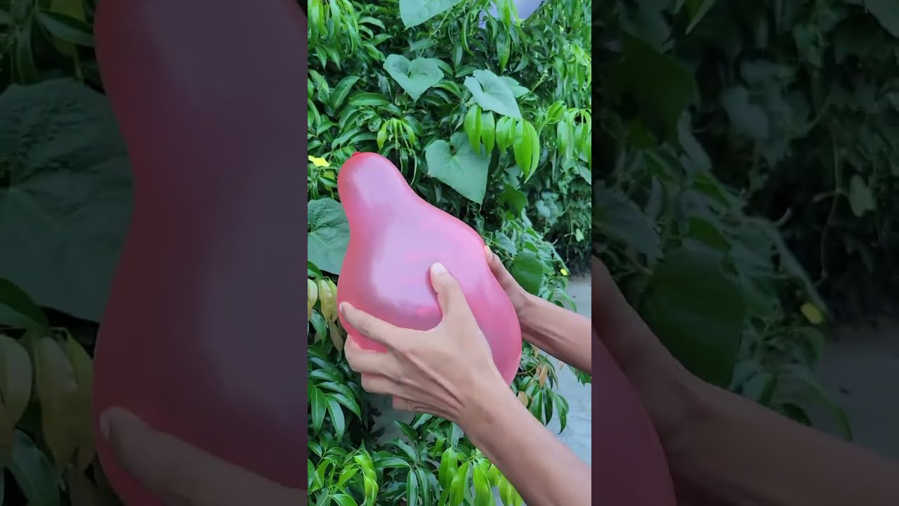 Outdoor balloon popping challenge and creating Amazing sound। 