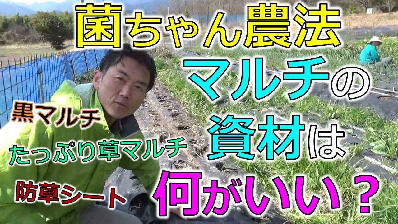 菌ちゃん農法　マルチの資材は何がいい？黒マルチ、防草シート、たっぷり草マルチ？？