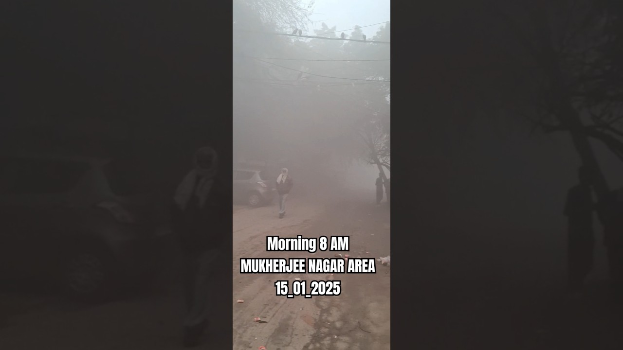 Morning Fog Delhi #shorts#shortsfeed #ytshorts #fog #snow #funny #music #winter