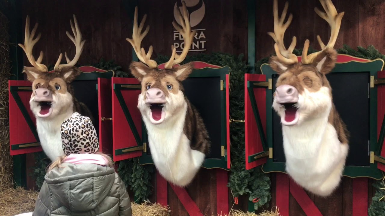 SINGING REINDEER- Flora Point Warszawa