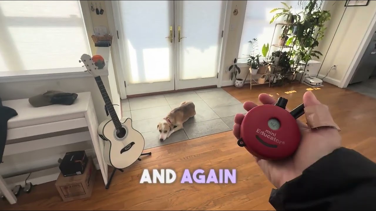 Murray - Using obedience practically around the house 
