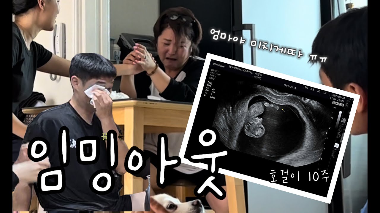 [임신브이로그#1] 임밍아웃 소중한 생명이 찾아왔어요^^가족들 지인들 반응은?!