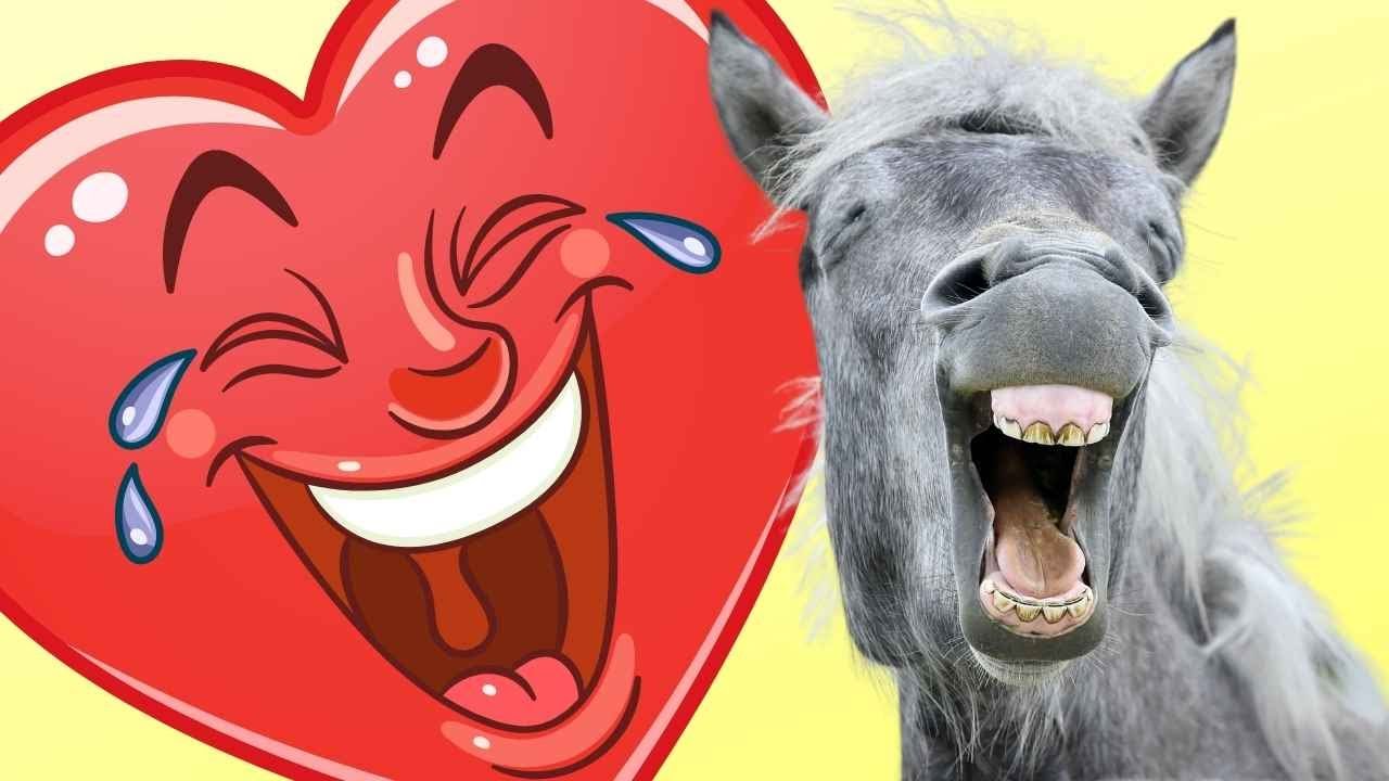 The Best Contagious Laugh Compilation