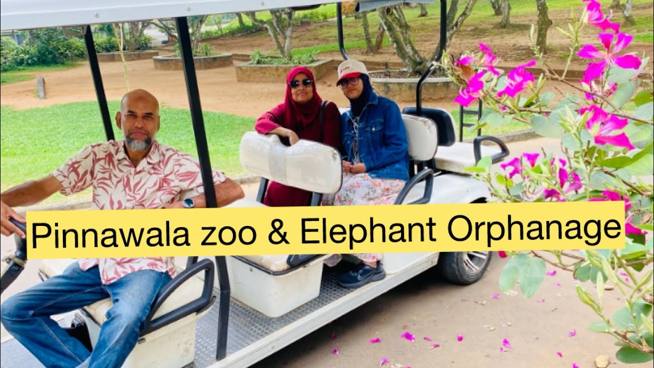 pinnawala zoo & Elephant Orphanage 