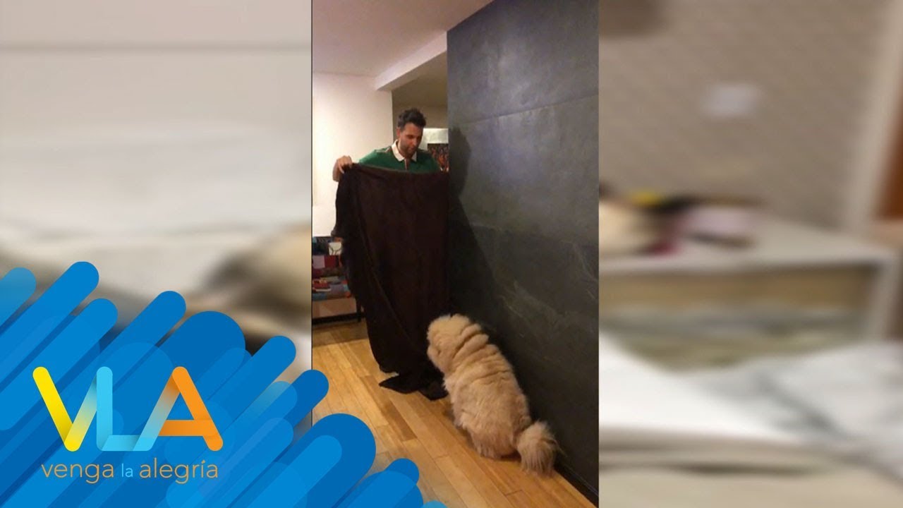 ¡Pato, Ricardo y Vanessa intentaron engañar a sus perros! | Venga la Alegría