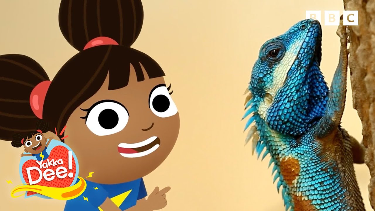 Learn to talk with Dee | Words, Sounds and Phonics for Toddlers | 30+ Minutes | Yakka Dee!