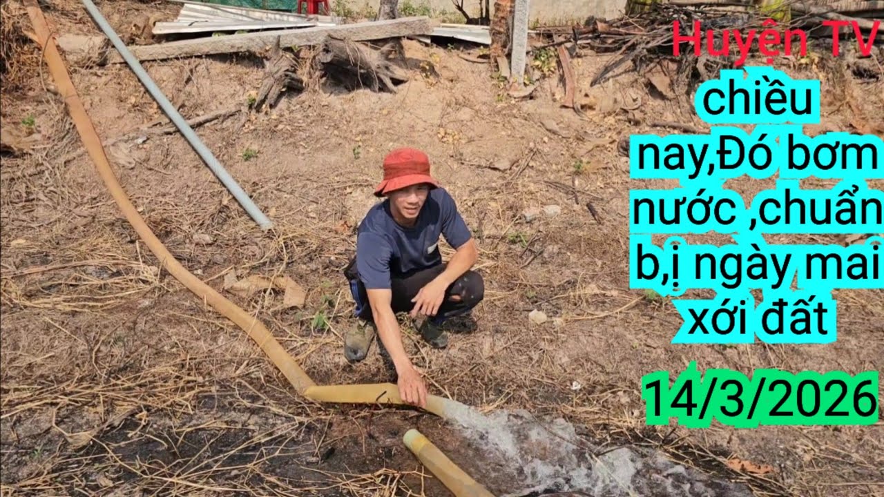 CHIỀU NAY ĐÓ, BƠM NƯỚC, CHUẨN B,Ị NGÀY MAI XỚI ĐẤT
