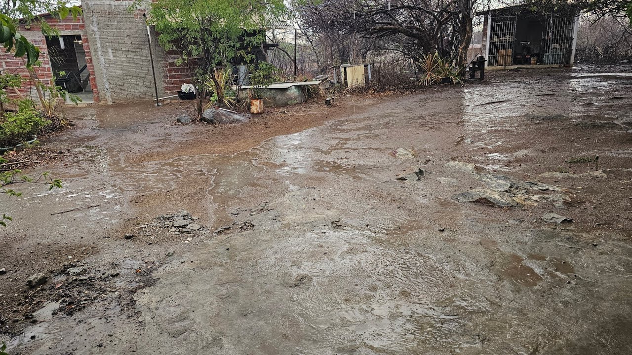 Chuva no Sertão nordestino em 05-02-26