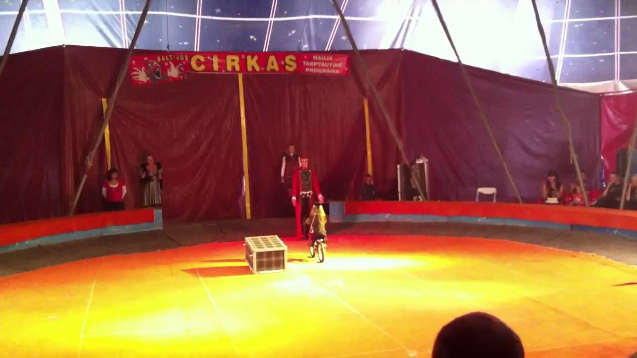 Cirkas
