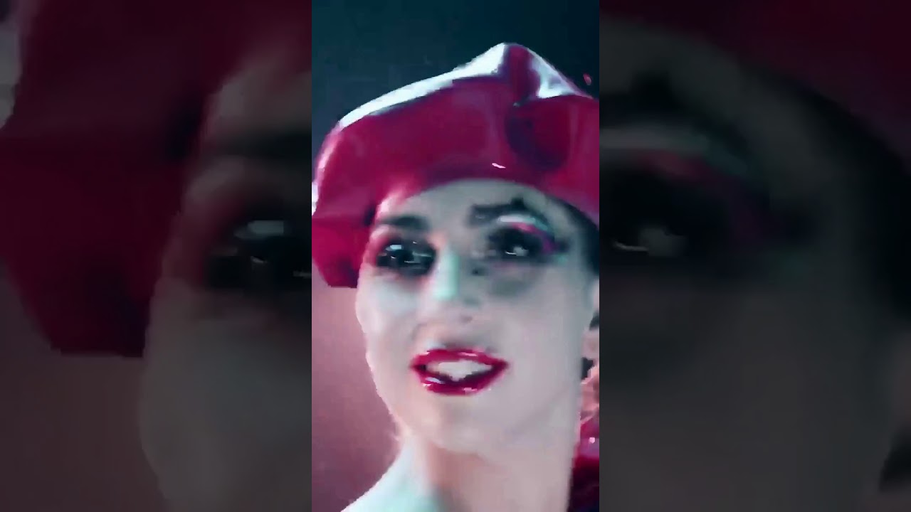 Lady Gaga | Instagram Stories | November 04 - December 04, 2019