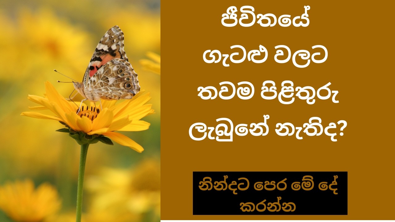 ජීවිතයේ ගැටළු වලට තවම පිළිතුරු ලැබුනේ නැතිද?