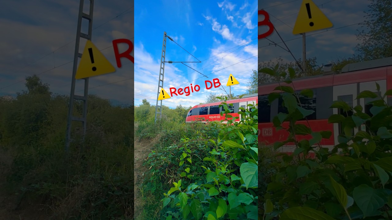 DB Regio ⚠️😎⭐️#train #trainspotting #regionalbahn #deutschebahn #shorts