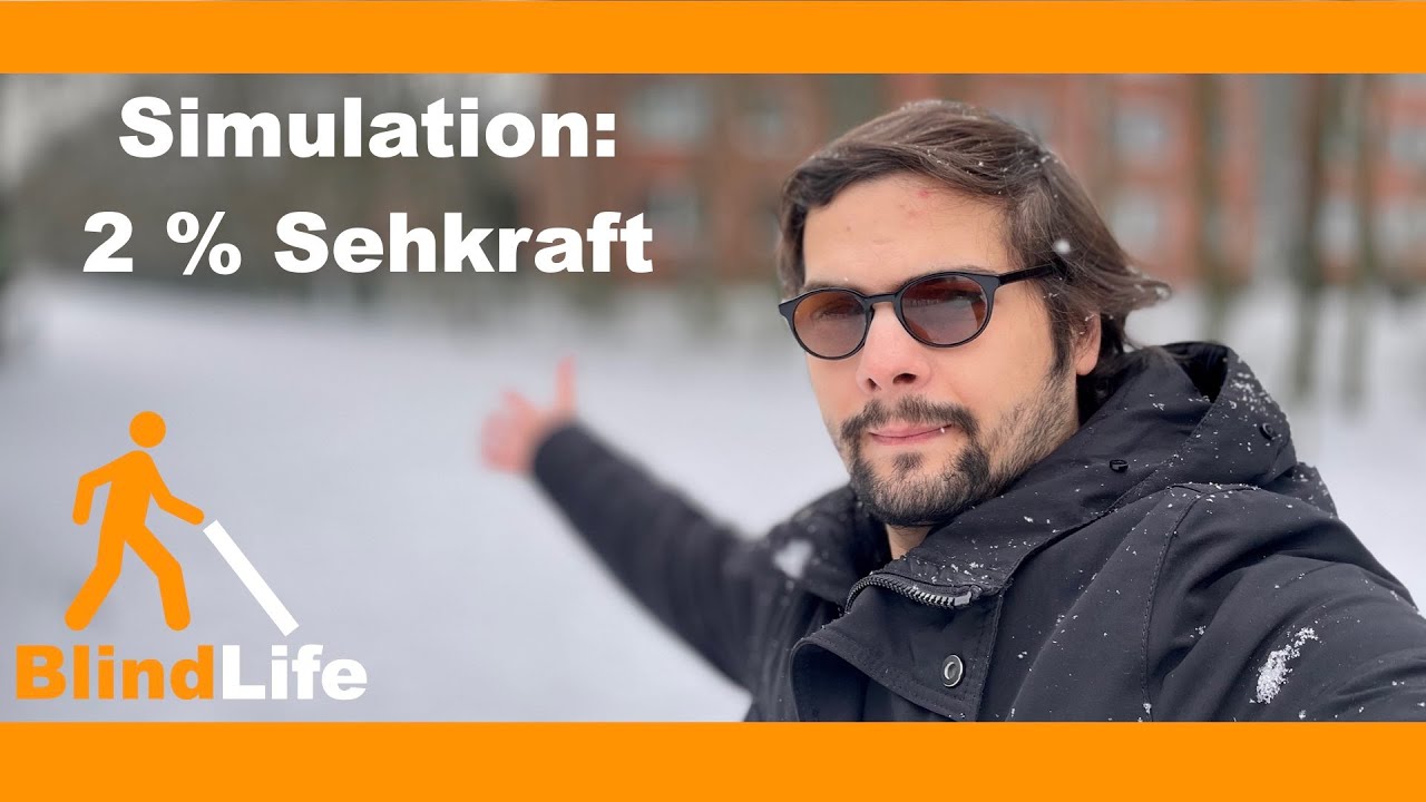 Ich mache dich gesetzlich blind. 2 % Sehkraft Simulation | Mr. BlindLife