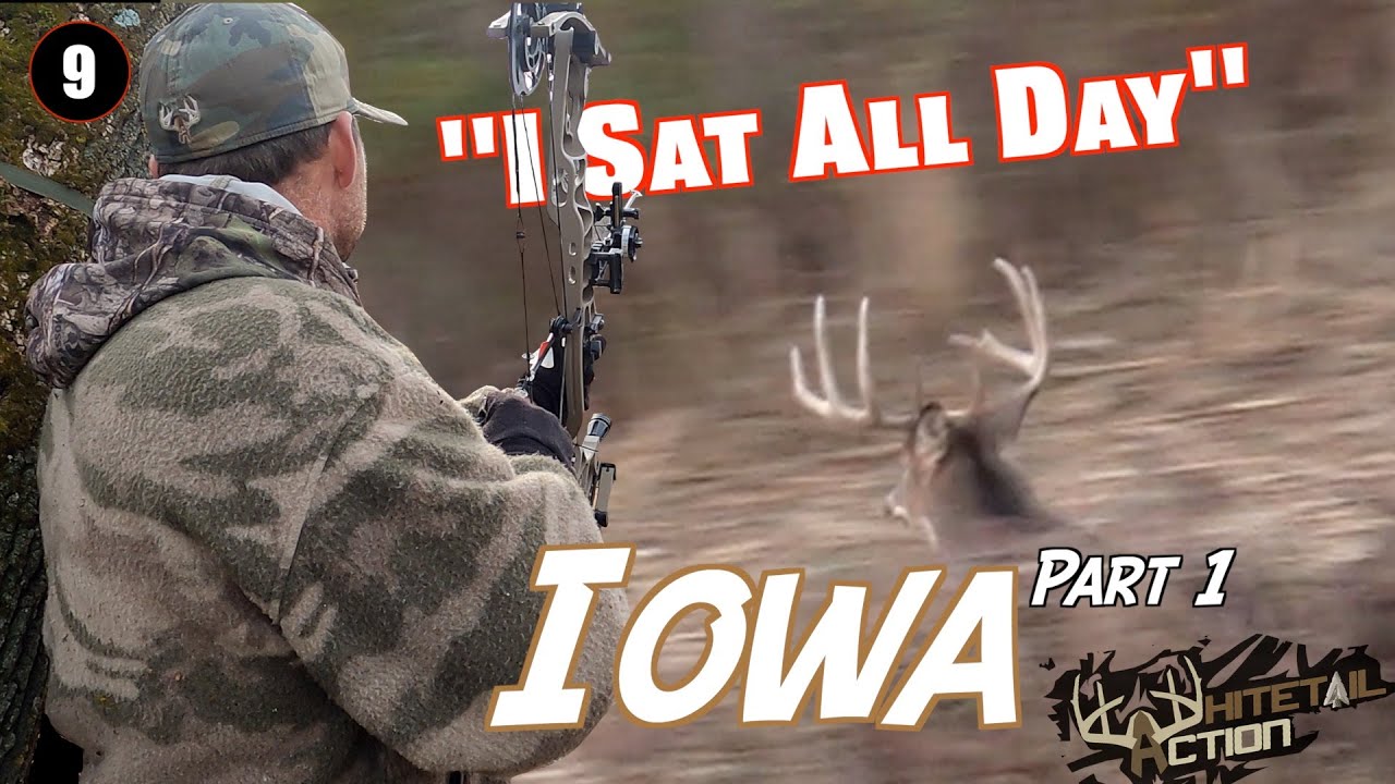 Whitetail Action-  IOWA TRIP PART 1 - 