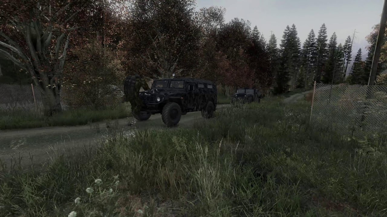 DAYZ. Знакомимся с сервером Dark Knights