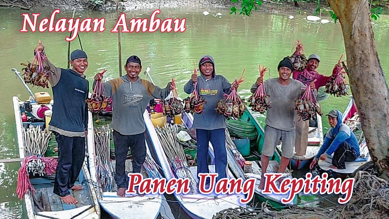 Part 2 | Nelayan Ambau | Lihat Hasil Tangkapan & Penjualan Kepiting