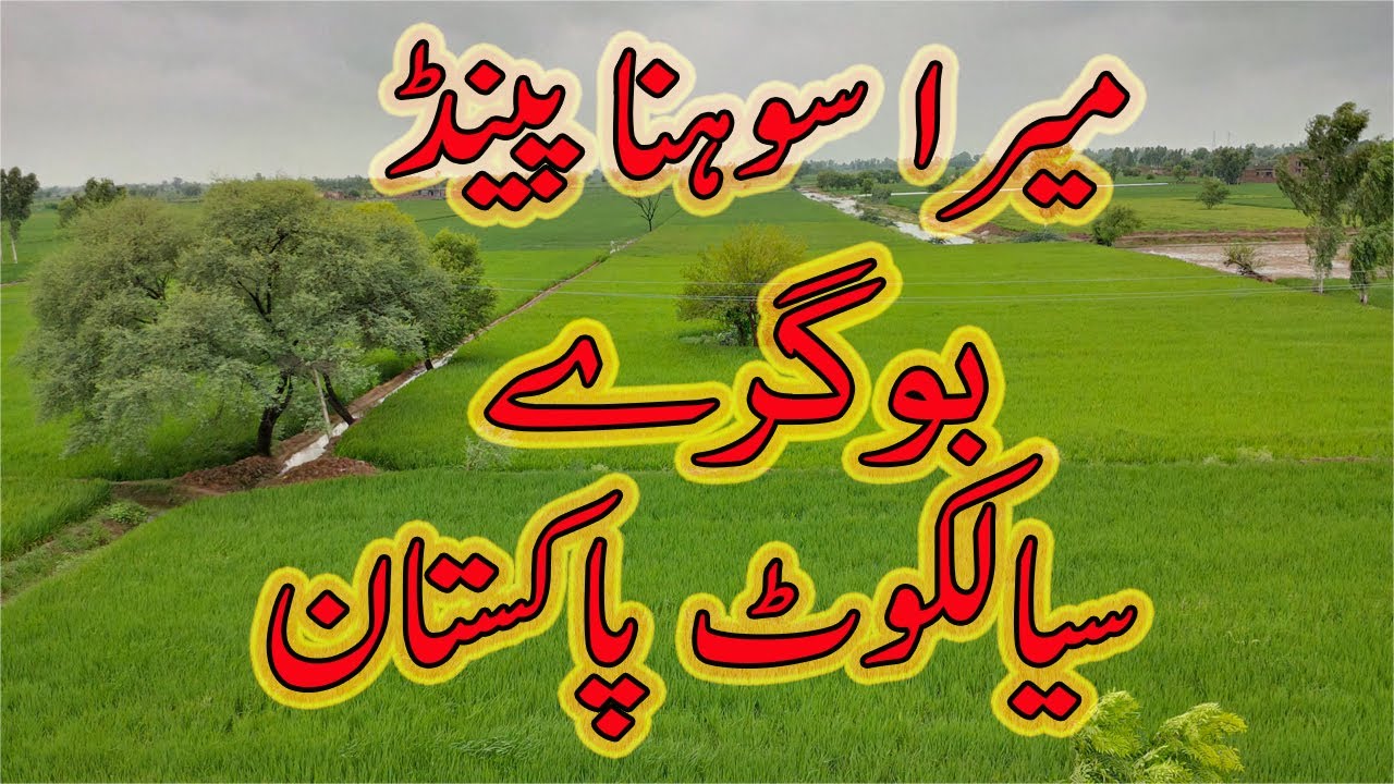 Bogray the village of Panjab | Pakistani Village Life | Sialkot