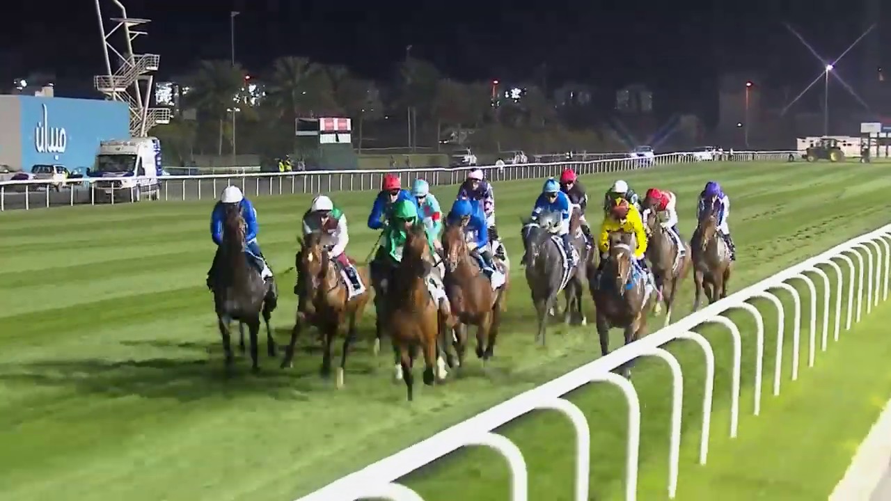 Race 7 Dubai Turf Sponsored by DP World