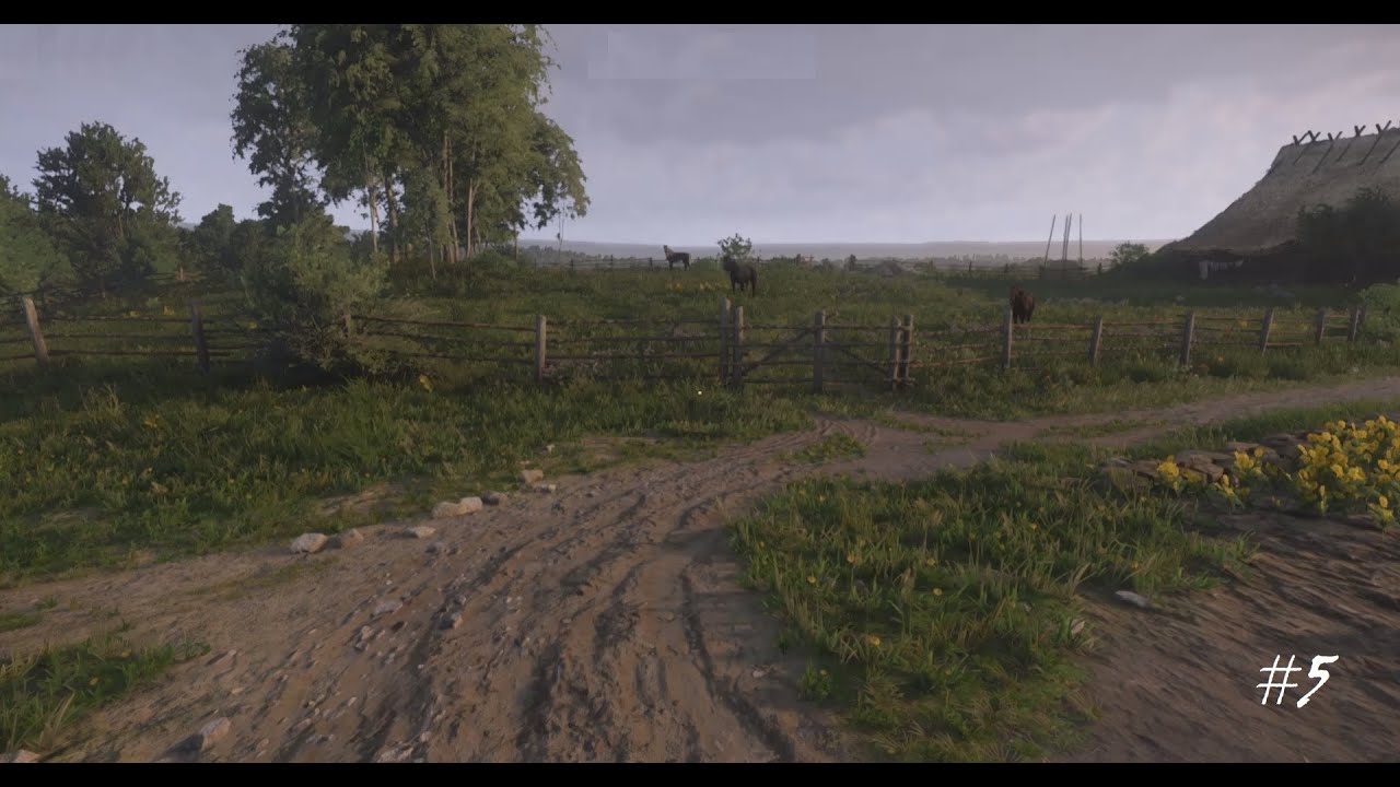 Kingdom Come: Deliverance II #5