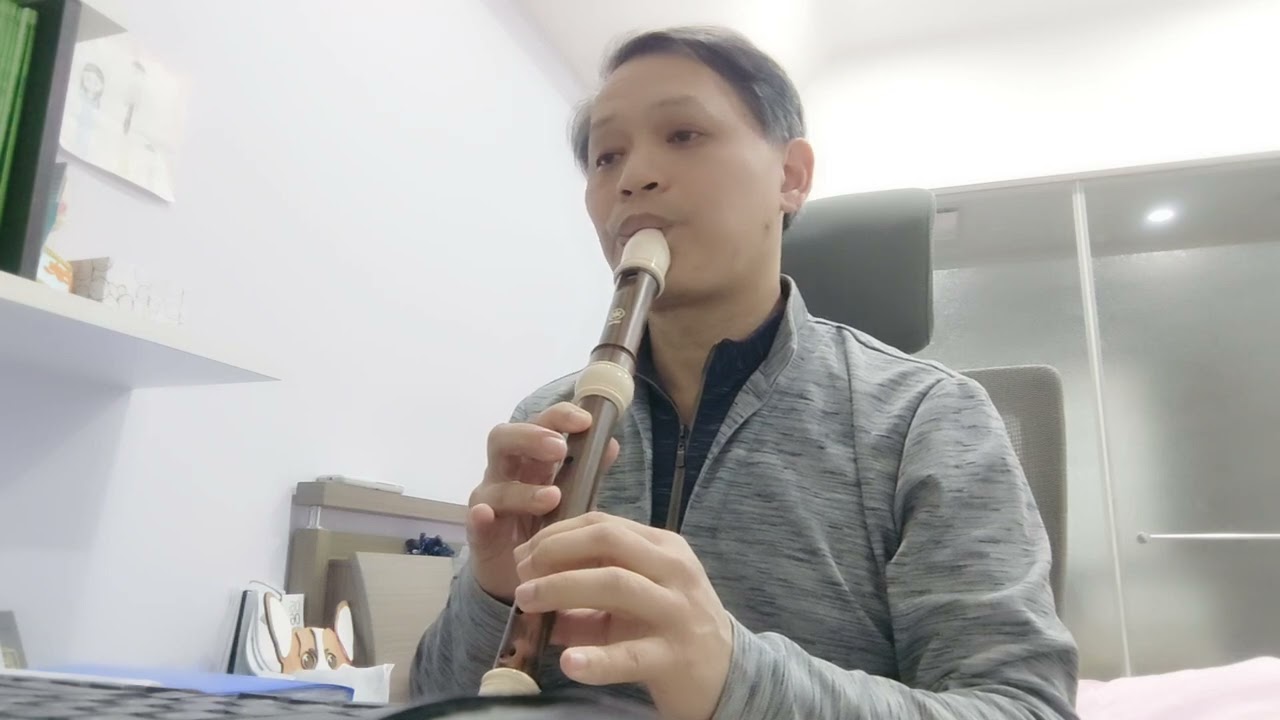 Without you (alto recorder cover)